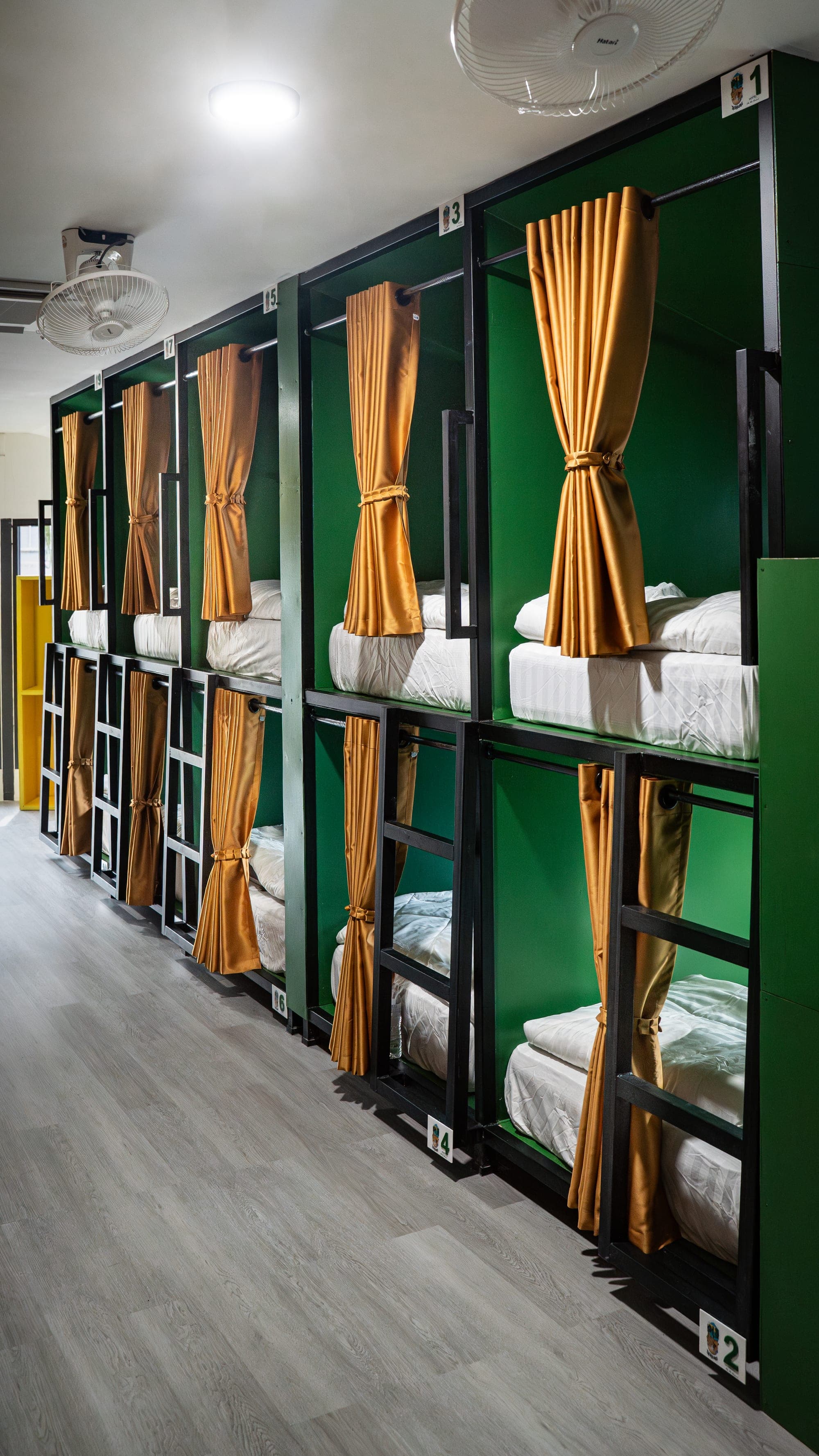 Green-wood bunks with gold curtains at The High Dogs Hostel